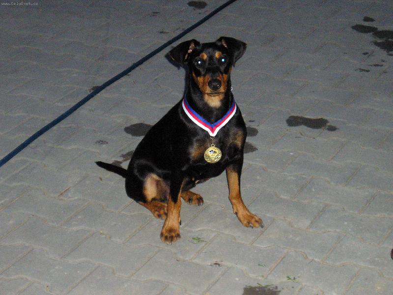 Foto: No �ekn�te nejsem n�dhern�.......